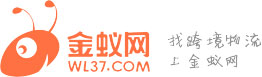 金蚁网模板账号①